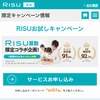 RISU