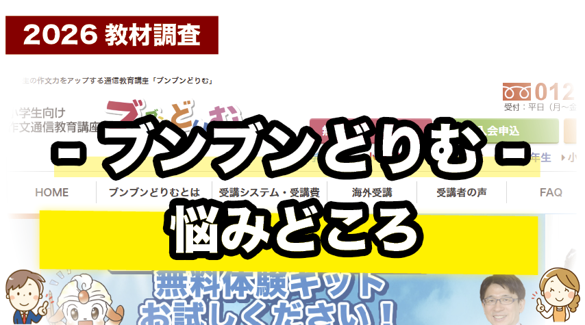 ブンブンどりむの悩みどころを紹介しているページ